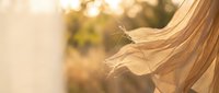 Flowing blonde hair catches golden sunlight in gentle breeze with warm bokeh background creating dreamy atmospheric portrait moment.