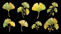 Watercolor ginkgo leaves set in green and golden tones, isolated on transparent background. Great for t-shirt design, stickers, clipart, sublimation, and print on demand.