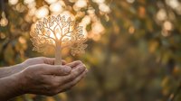 Mature hands holding glowing golden tree with intricate branches against blurred natural background, symbolizing growth, sustainability, environmental care, and eco-friendly business concepts.