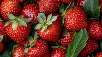 Fresh ripe strawberries with green leaves close up macro shot. Natural organic berries background showing texture and details for food photography.