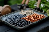 Assorted dried legumes and beans arranged in ceramic plate, including black, white and red varieties, showcasing natural food ingredients in garden setting.