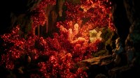 Glowing red coral reef formation with vibrant marine life in underwater cave environment creating mystical oceanic scene for nature and diving themes.
