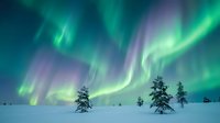 Spectacular northern lights aurora borealis dancing across night sky over snow-covered landscape with evergreen trees in winter wilderness scene.