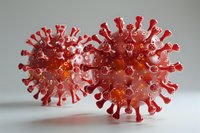 Red virus cells with protruding spikes on gray background, illustrating infectious disease concept for medical education and health awareness.