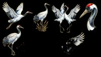 Elegant red-crowned cranes set isolated on transparent background, ready for t-shirt design, clipart, stickers, sublimation, and print on demand projects.