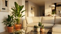 Modern living room interior with lush green plants in terracotta pots creating cozy atmosphere. Neutral beige sofa, warm lighting for home decor inspiration.