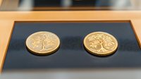 Two golden coins featuring tree of life design on dark background, luxury numismatic collection display showing ancient currency symbols and sacred motifs.