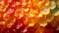 Vibrant backlit citrus slices creating abstract pattern with red, orange and yellow gradient colors, fresh fruit background with translucent organic shapes.