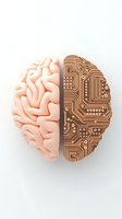 Split human brain showing organic and digital sides with circuit board patterns representing artificial intelligence and neural networks on white background.