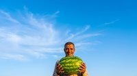 Middle-aged man with dark hair and beard, South Asian ethnicity, farmer or agricultural worker, holding large ripe watermelon against clear blue sky with white clouds during daytime harvest season.