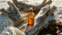 Amber glass bottle with golden liquid positioned among weathered driftwood on sandy beach, ideal for skincare, wellness, and cosmetic product marketing.