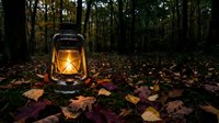 Vintage oil lantern glowing warmly on forest floor covered with colorful autumn leaves creating cozy camping atmosphere in dark woodland setting.