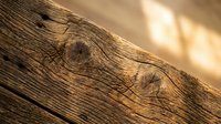 Weathered wooden plank with natural grain patterns and knots in warm sunlight. Rustic timber texture for construction and carpentry projects.