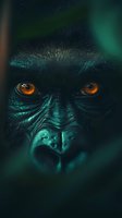 Close-up portrait of a dark-furred primate with striking amber eyes and teal-tinted skin, displaying intense facial features and expressive gaze for wildlife and nature projects.