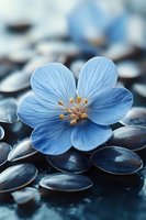Delicate light blue flax flower with detailed petals and golden stamens resting on dark seeds, creating striking contrast for wellness and spa concepts.
