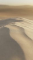 Soft golden sand dunes with flowing curves and gentle shadows creating abstract desert landscape patterns in warm natural lighting.