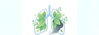 Green lungs with leaves symbolizing clean air, respiratory health and environmental wellness concept for medical and ecological awareness campaigns.