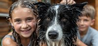 Happy children bathing wet border collie dog in bathroom. Family pet care and hygiene routine with smiling kids washing their beloved furry friend at home.