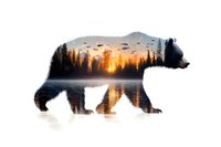 Bear silhouette filled with sunset forest lake scene, double exposure nature wildlife art showing pine trees and orange sky reflection in water.