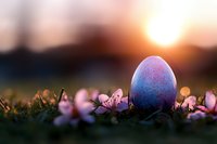 Blue and pink decorated Easter egg nestled in grass with delicate spring flowers at sunset, creating magical bokeh effect and warm atmospheric mood.