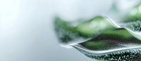 Macro photography of green leaf surface with water droplets and morning dew creating abstract natural pattern. Soft focus background adds dreamy atmosphere.