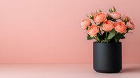 Fresh peach-colored roses arranged in modern black cylindrical vase against pink wall background, minimalist floral composition for home decor and celebrations.