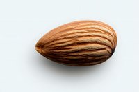 Single fresh almond nut with detailed texture and striped brown shell isolated on white background, macro photography for food packaging and design.