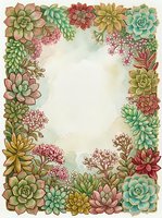 Watercolor succulent frame border with colorful plants creating decorative space for text or design elements on textured paper background.
