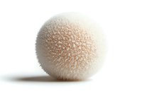 Soft white fluffy sphere with delicate crystalline texture on white background, isolated object casting subtle shadow, suitable for minimalist design projects.
