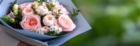 Elegant pink rose bouquet wrapped in paper against soft green background for romantic occasions, weddings, anniversaries and special celebrations.