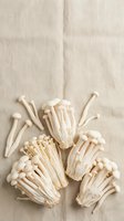 Enoki mushrooms arranged on neutral linen fabric, showcasing delicate white stems and small caps. Suitable for food styling, culinary content, and organic ingredient photography.