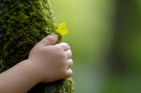 Small child hand holding yellow flower against moss-covered tree trunk in natural outdoor setting symbolizing growth, care and environmental connection.