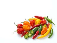 Assorted fresh chili peppers in red, yellow, orange and green varieties isolated on white background, ready for culinary design projects.