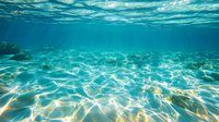 Underwater view of crystal clear turquoise water with sunlight creating rippling patterns on sandy ocean floor, natural aquatic background for summer and marine designs.