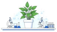 Laboratory setup with green plant in white pot between two microscopes and scientific glassware on blue shelf for botanical research and education.