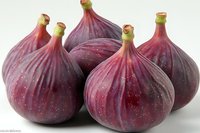Fresh ripe purple figs with green stems arranged in group on white background. Organic Mediterranean fruit for healthy eating and cooking recipes.