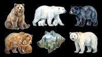 Watercolor bear clipart set with six species including grizzly, polar, black, and mother bears, isolated on transparent background, ready for stickers, t-shirt design, and print on demand.