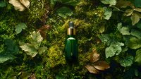 Green glass dropper bottle on natural green leaves background with morning dew drops, organic skincare product photography for cosmetic advertising.