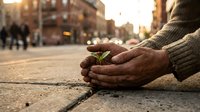 Hands of an adult male with medium skin tone gently cradling a small green seedling sprouting from urban pavement, symbolizing environmental care and sustainability in city settings.