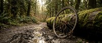 Abandoned bicycle wheel leaning against moss-covered fallen log in dense forest with overgrown vegetation and muddy ground, symbolizing decay and nature reclamation.
