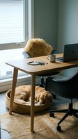 Cozy home office workspace with sleeping golden retriever dog in wicker basket under wooden desk, laptop and coffee mug on table by window for remote work.