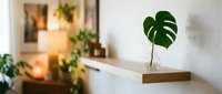 Single green monstera leaf in clear glass vase on wooden shelf with blurred indoor plants and warm lighting in background, home decor styling.