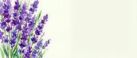 Purple lavender flowers with green stems arranged on left side of cream background with copy space for text and design projects.