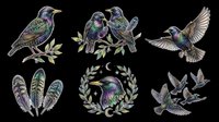 Starling birds isolated on transparent background, ready for t-shirt design, clipart, stickers, sublimation and print-on-demand products. Features multiple poses and feather details.