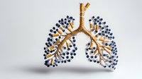 Anatomical model of human lungs created with cinnamon sticks and blueberries on white background, showing bronchi and alveoli structure for medical education.