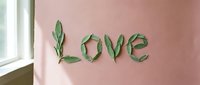Green leaves arranged to spell love word on pink wall near window creating romantic natural typography for wedding decor and Valentine celebration.