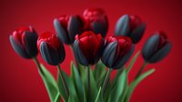 Red and black tulips with green stems arranged against a vibrant red background, suitable for spring floral designs, greeting cards, and decorative projects.