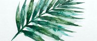 Watercolor painting of a green palm frond with layered leaves in shades of emerald and sage, rendered in soft brushstrokes on white background for botanical art and nature design projects.