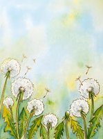 Watercolor dandelions with flying seeds on soft blue-green background, hand-drawn botanical art with copy space for cards and prints.