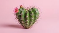 Heart-shaped cactus with pink flower on pastel background for Valentine's Day romantic concept and love themed designs.